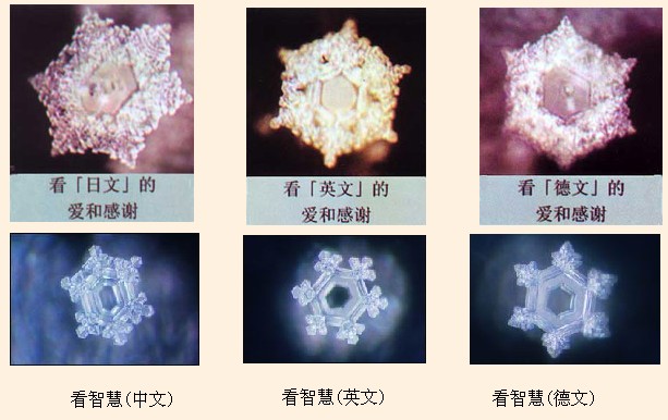 1508743242243068725.jpg 1508743242243068725.jpg