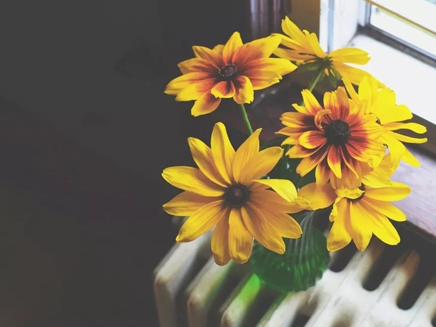 1533871324315036993.jpg 1533871324315036993.jpg