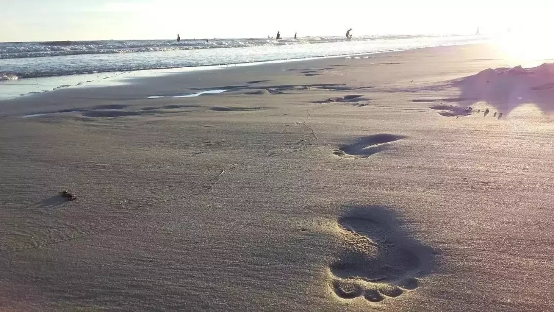 1533871380083043401.jpg 1533871380083043401.jpg