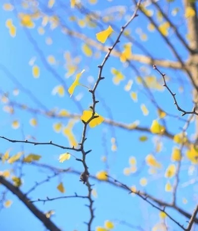 1533871689025098909.jpg 1533871689025098909.jpg