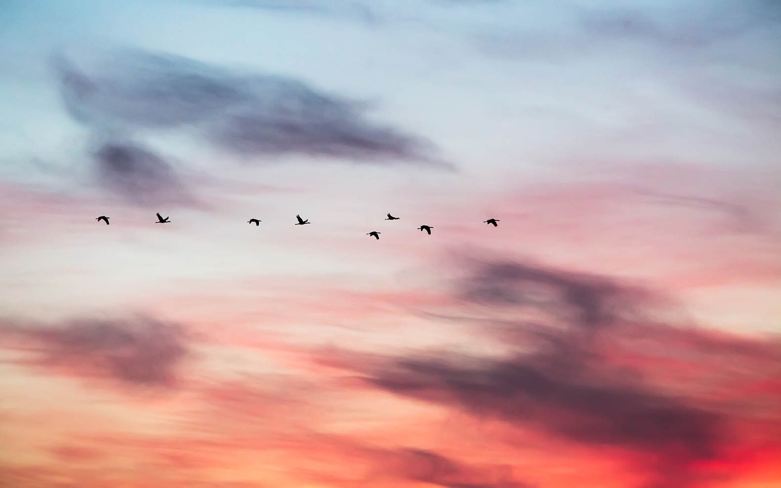 1537497505608087771.jpg 1537497505608087771.jpg