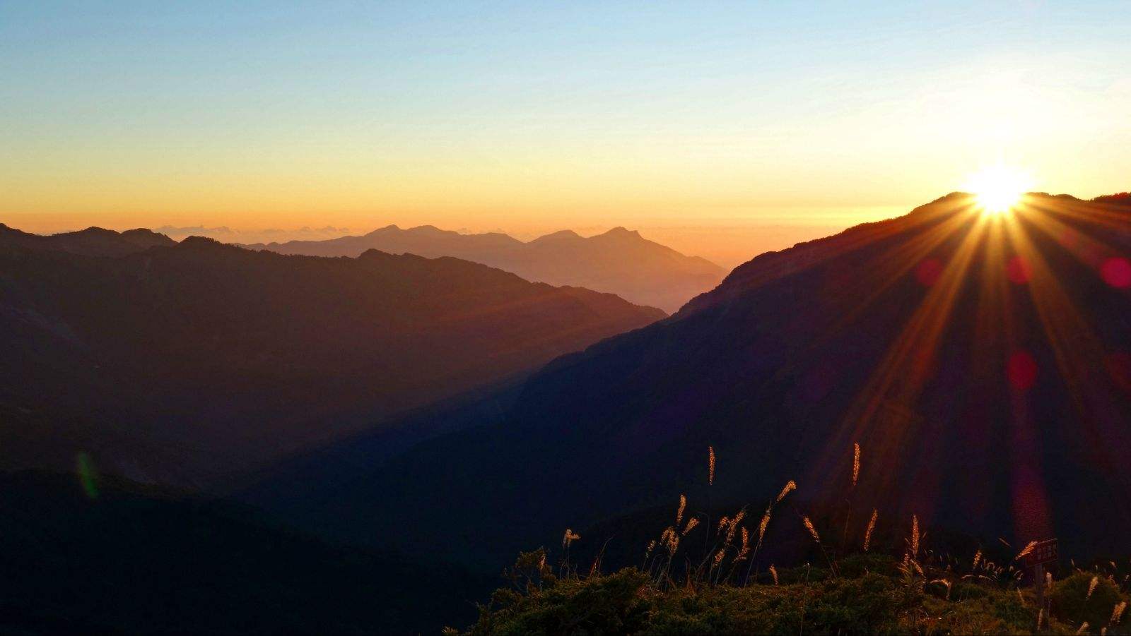 1537499536049099734.jpg 1537499536049099734.jpg