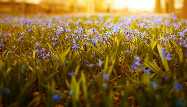 1548753554847051050.jpg 微信圖片_20190129171828.jpg