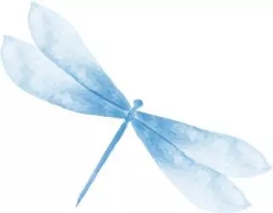 1548753577894046840.jpg 微信圖片_20190129171848.jpg