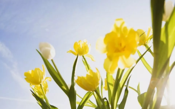 1548754176504037461.jpg 微信圖片_20190129172754.jpg