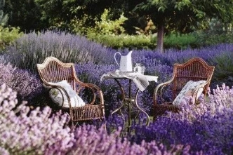 1548755839028030356.jpg 微信圖片_20190129175554.jpg