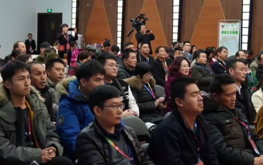 1551946910389035172.jpg 1551946910389035172.jpg