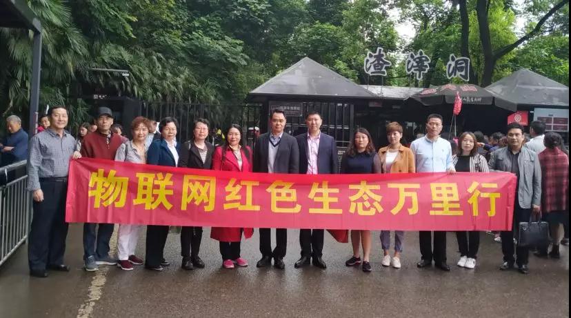 1558343490428069208.jpg 1558343490428069208.jpg