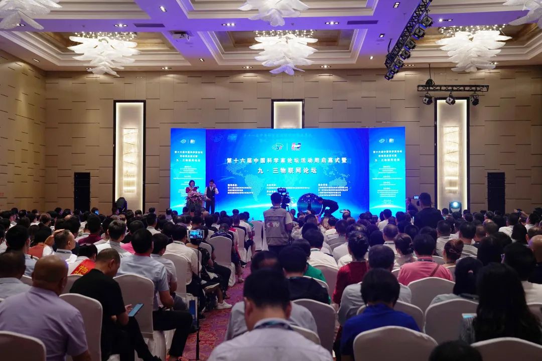 1628050707704070469.jpg 1628050707704070469.jpg